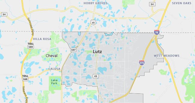 Map of Lutz, FL