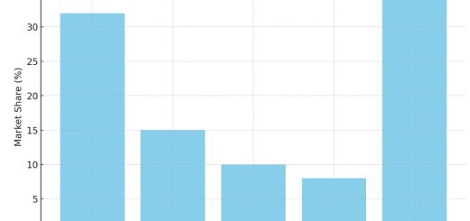China Lithium Battery Market Share