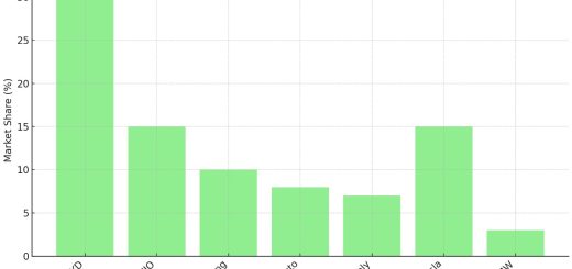 China EV Market Share